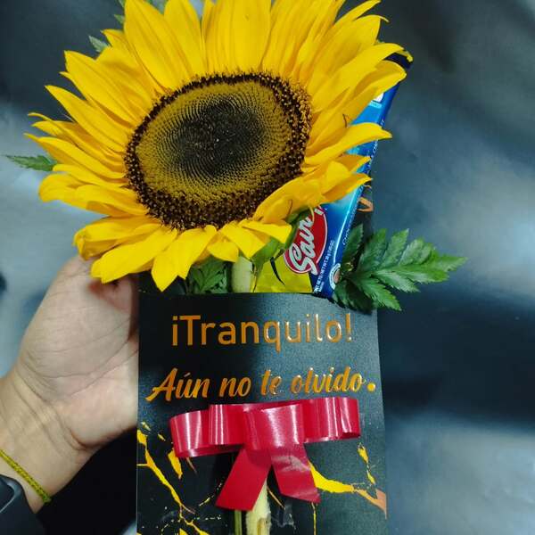 Girasoles & Dulces para No Olvidar